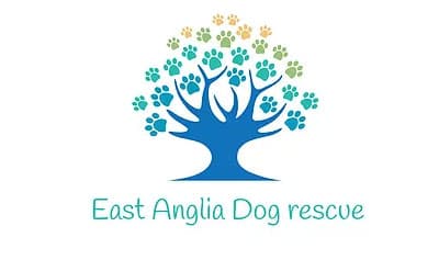 east angila